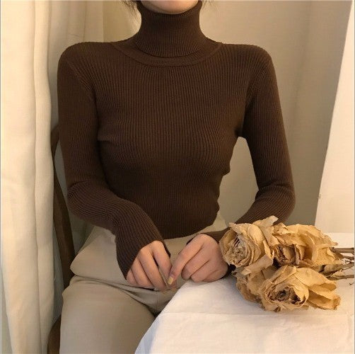 High Collar Warm Long Sleeve Sweater Matching Sweater Women