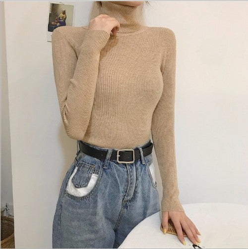 High Collar Warm Long Sleeve Sweater Matching Sweater Women