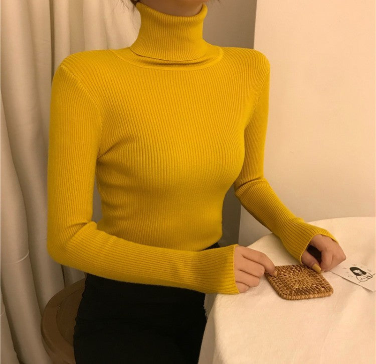 High Collar Warm Long Sleeve Sweater Matching Sweater Women