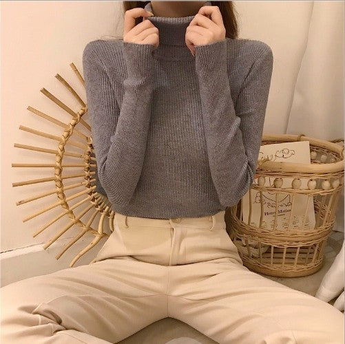 High Collar Warm Long Sleeve Sweater Matching Sweater Women