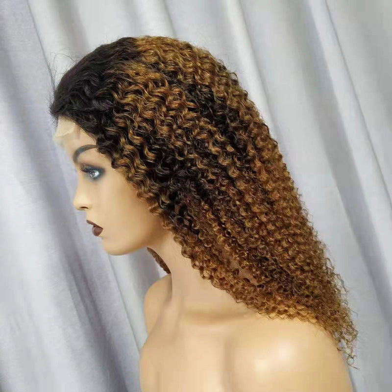 Human Hair Wigs Kinky Curly