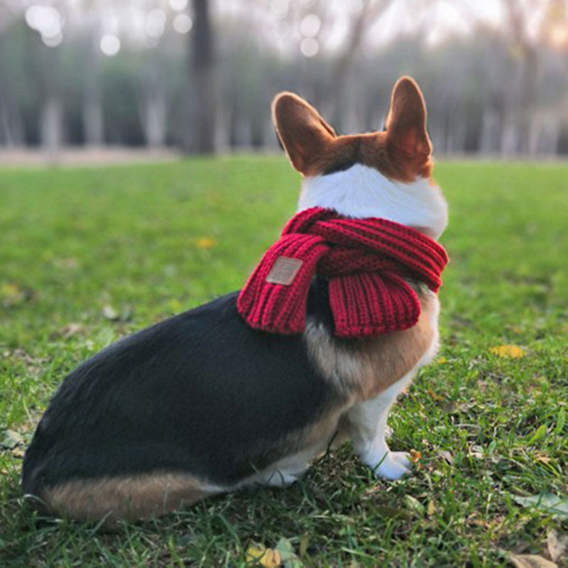 Dog Scarf Fighting Corgi Teddy Bichon Scarf