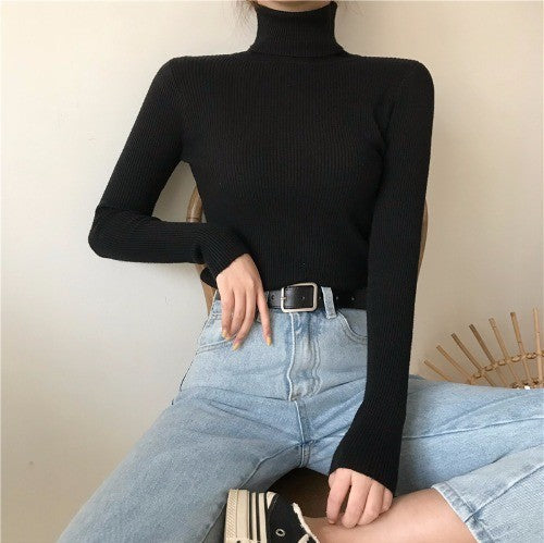 High Collar Warm Long Sleeve Sweater Matching Sweater Women