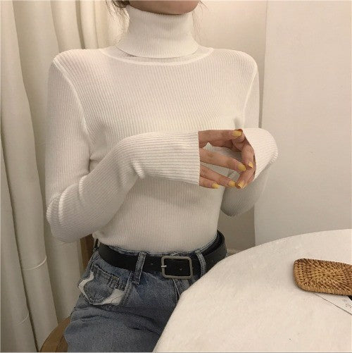 High Collar Warm Long Sleeve Sweater Matching Sweater Women