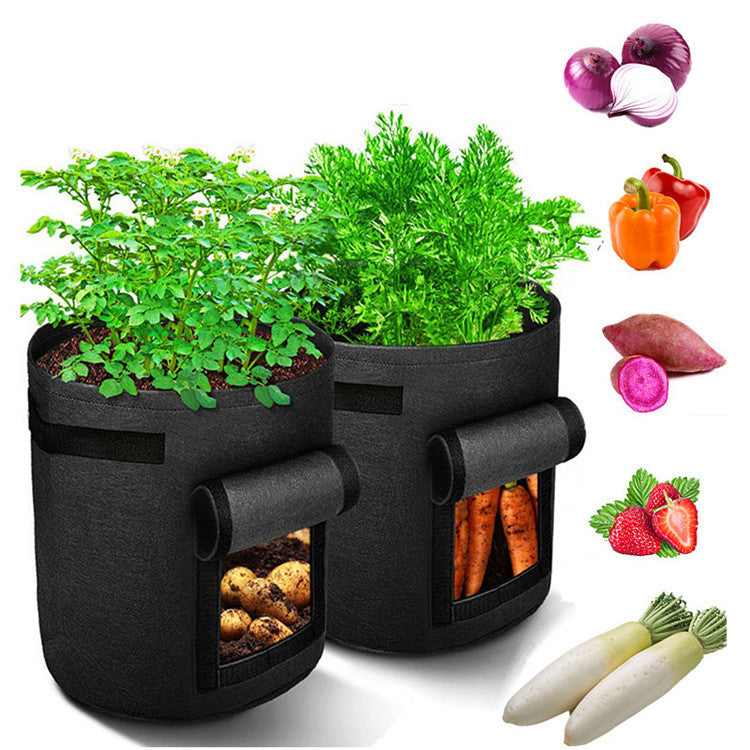 Multifunctional Vegetable Seedling Barrel