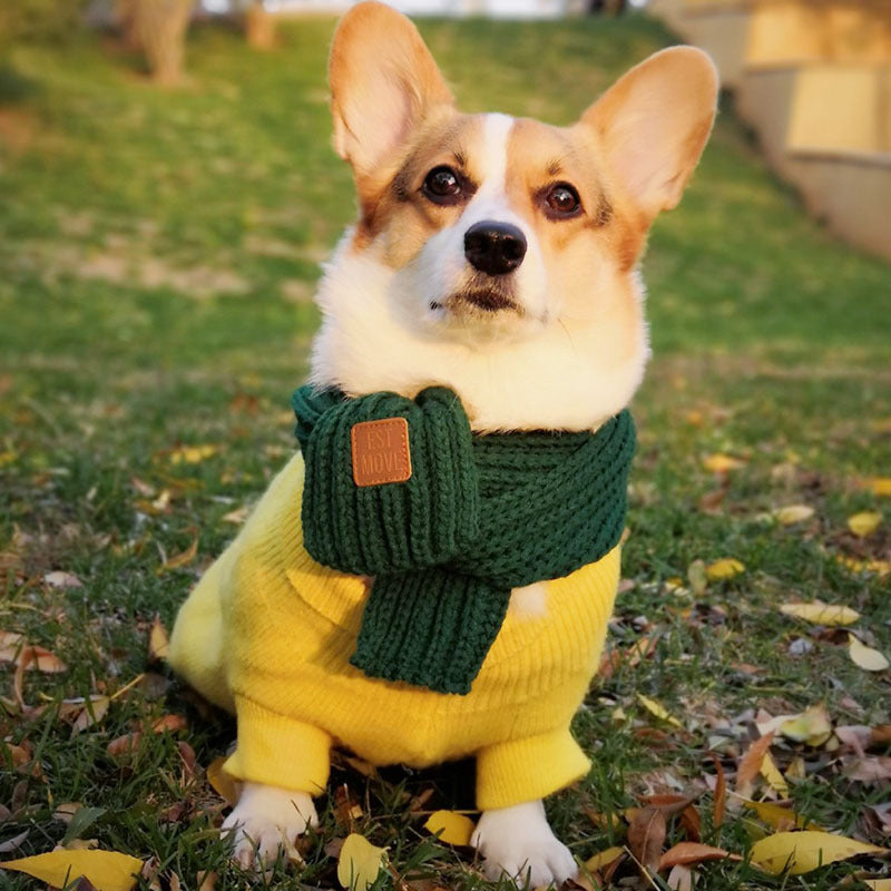 Dog Scarf Fighting Corgi Teddy Bichon Scarf